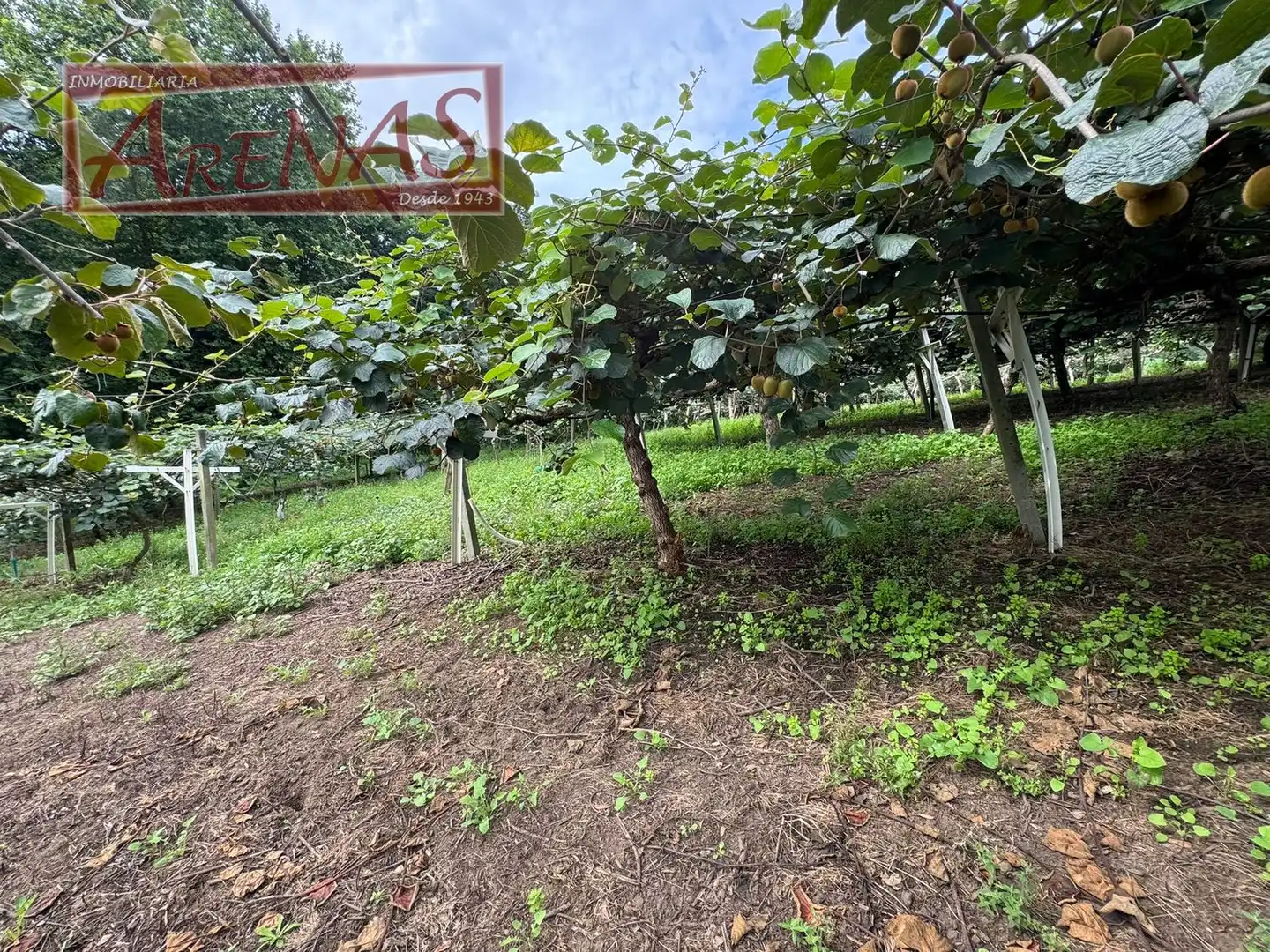 Land for sale in Marina de Cudeyo