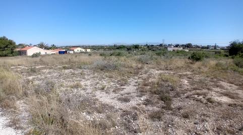 Foto 2 von Grundstücke zum Verkauf in Partida Valverde Bajo, Valverde, Elche / Elx