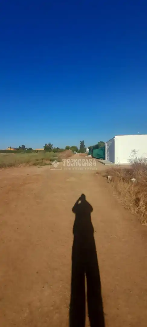 Finca rústica en venta en Aznalcázar