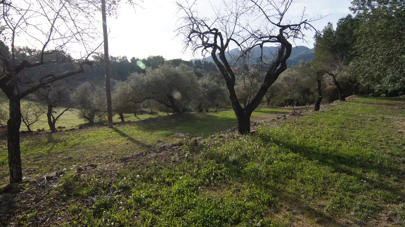 Terrain rustique à vendre à Rasquera, imagen 19