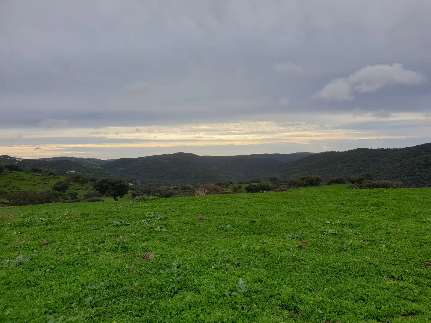 Terreno en venta en Sevilla