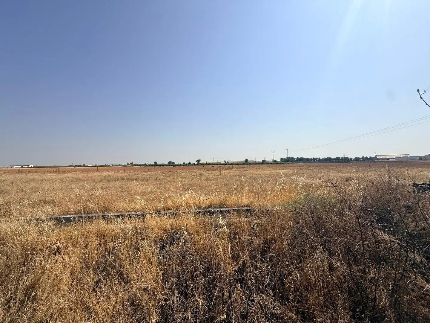 Terreno rústico en venta en Carretera Alcázar, imagen 12