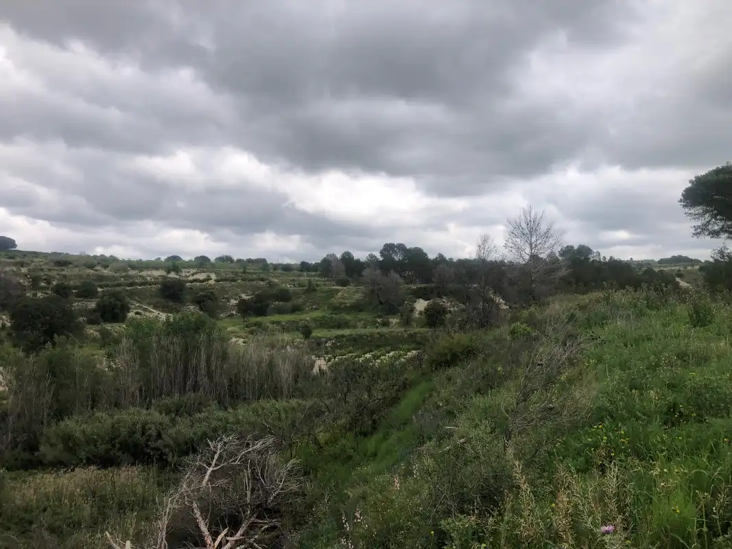Terreno rústico en venta en Castelló de Rugat, imagen 28