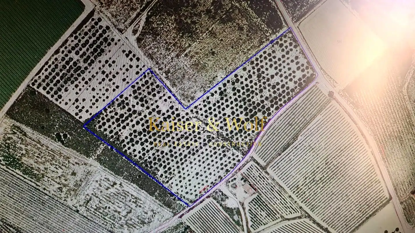 Terrenos y solares en venta en Monforte del Cid, imagen 12