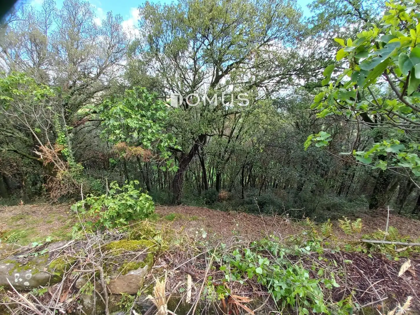 Finca rústica en venta en Sant Joan Les Fonts