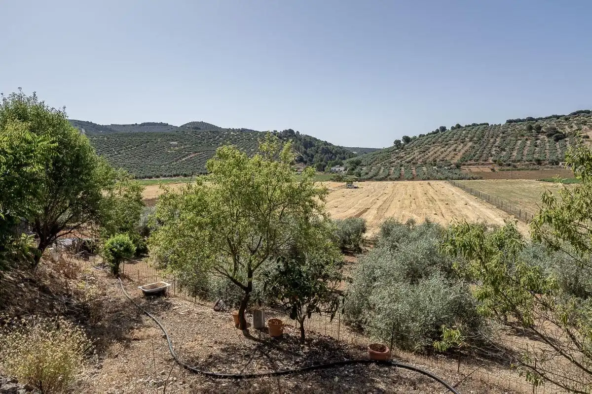 Land for sale in Montefrío