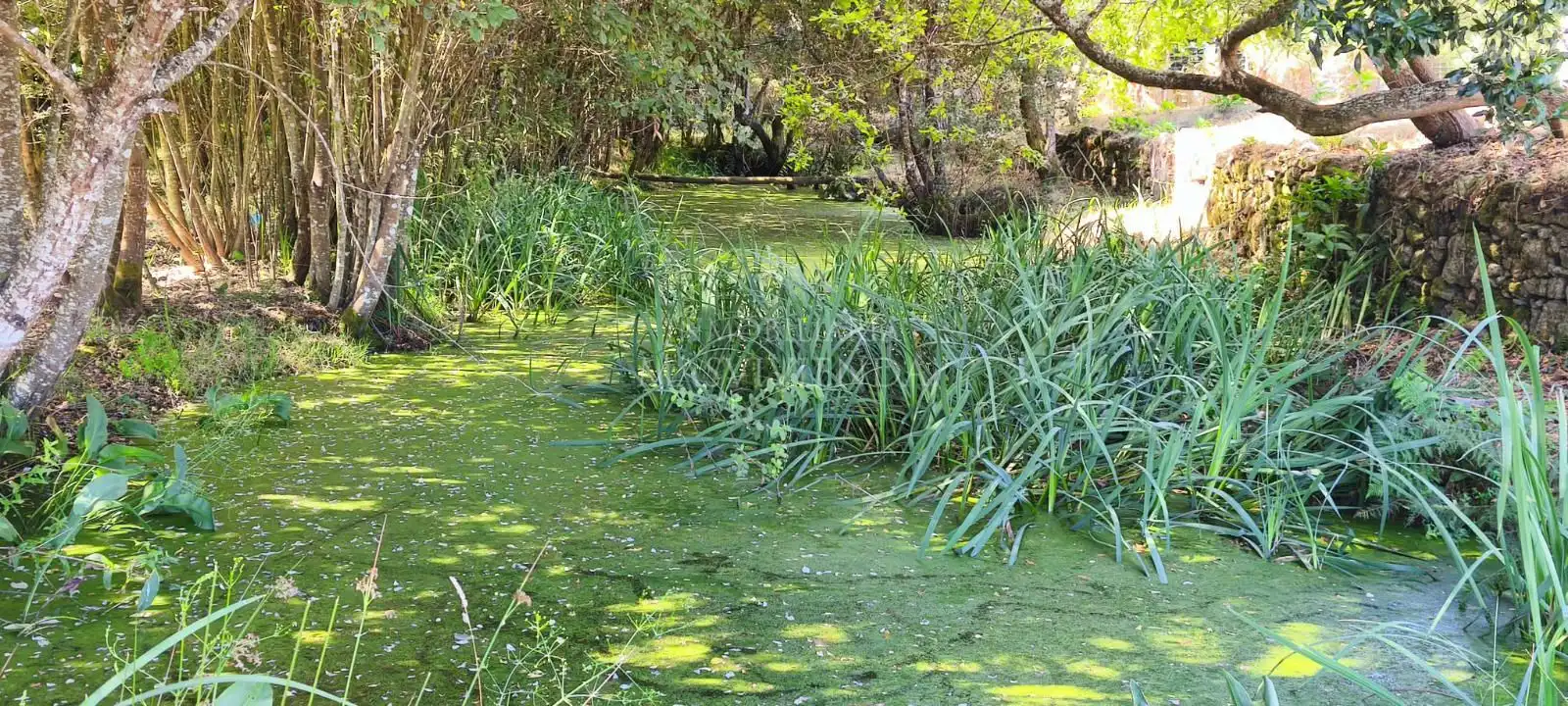 Casa amb jardí en venda a Entenza, imagen 41