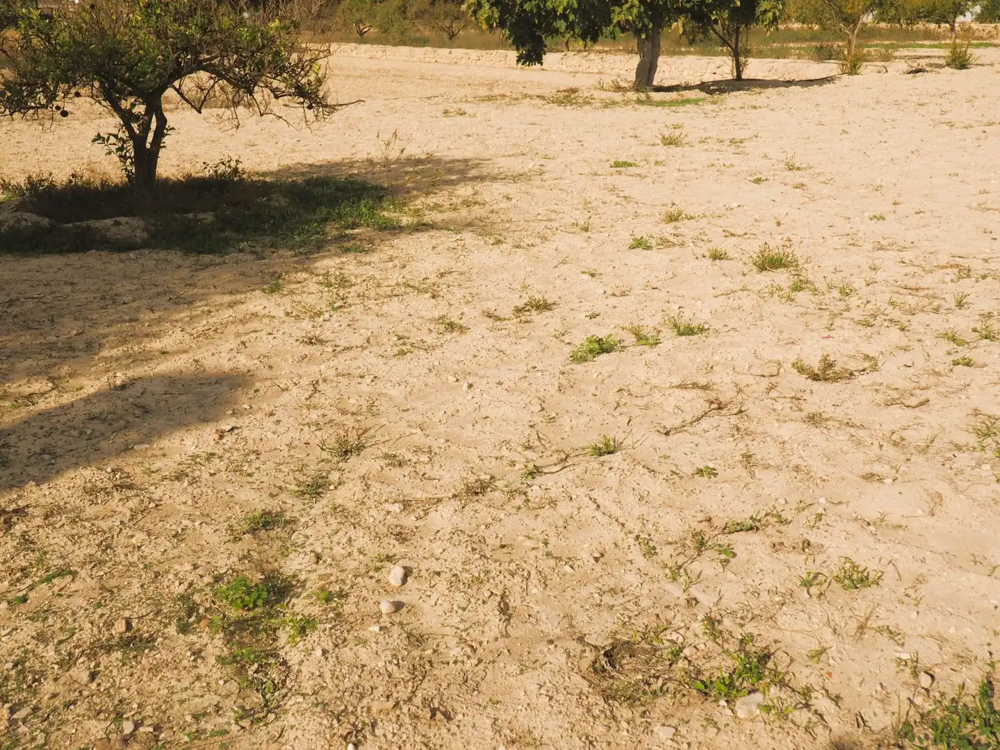 Casa o chalet en venta en Villajoyosa / La Vila Joiosa con Aire acondicionado, Calefacción y Trastero