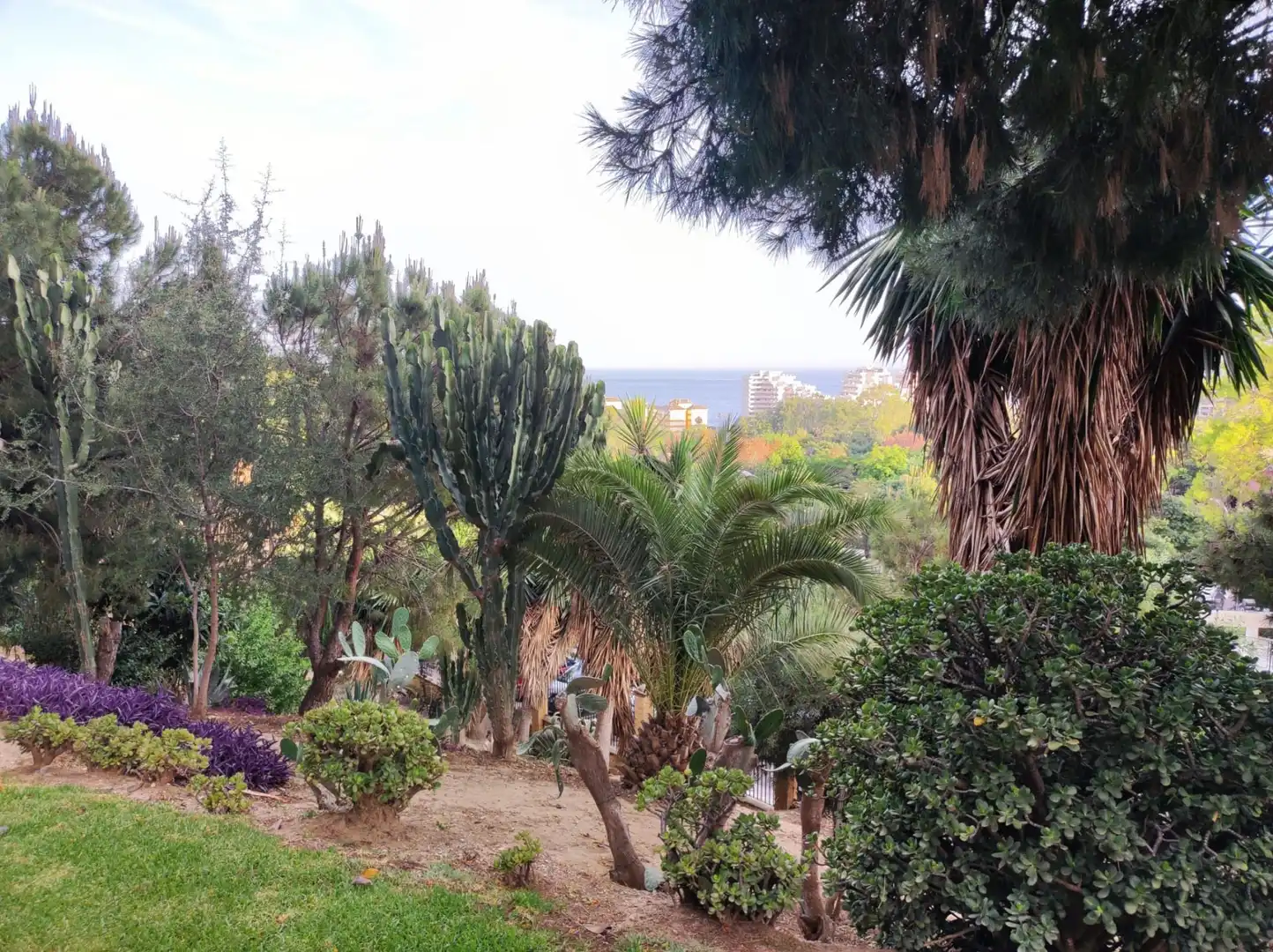 Jardí de Estudi de lloguer en Benalmádena amb Aire condicionat, Calefacció i Terrassa