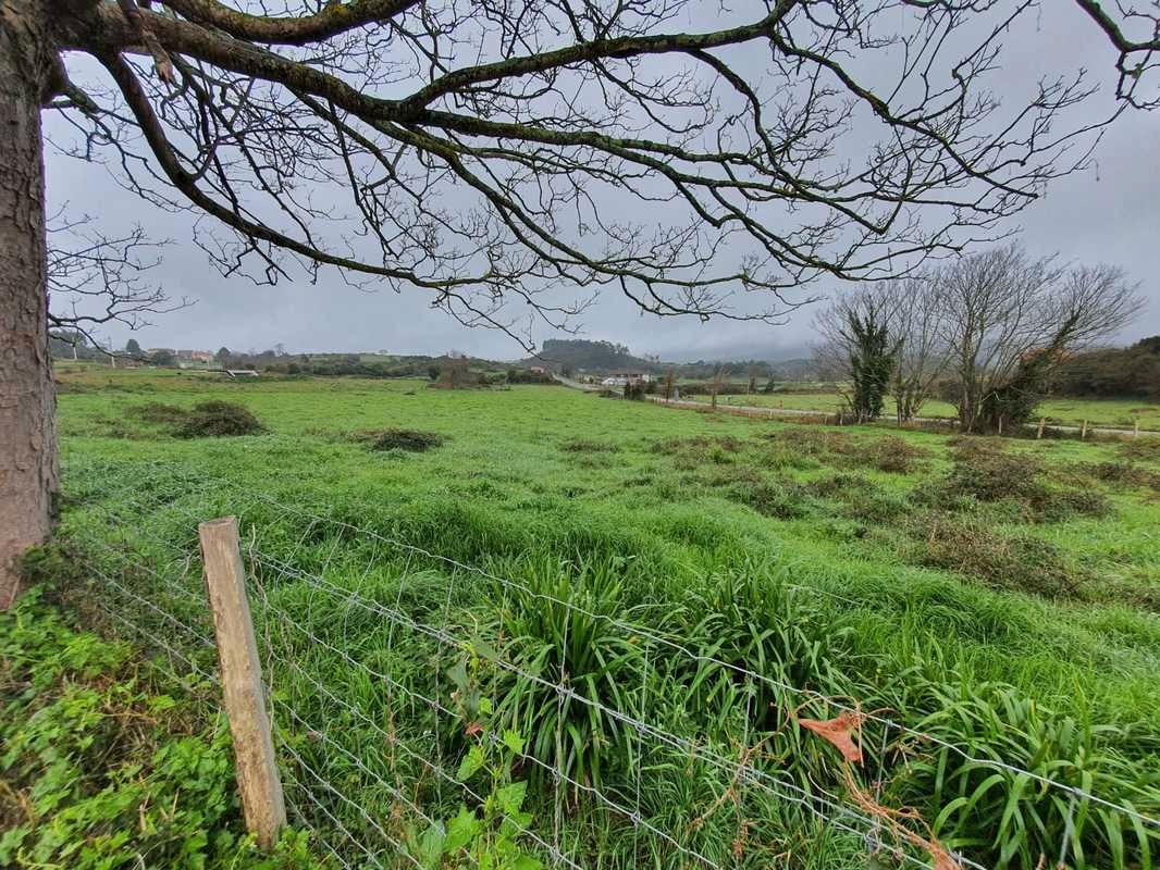 Land for sale in Ribadesella