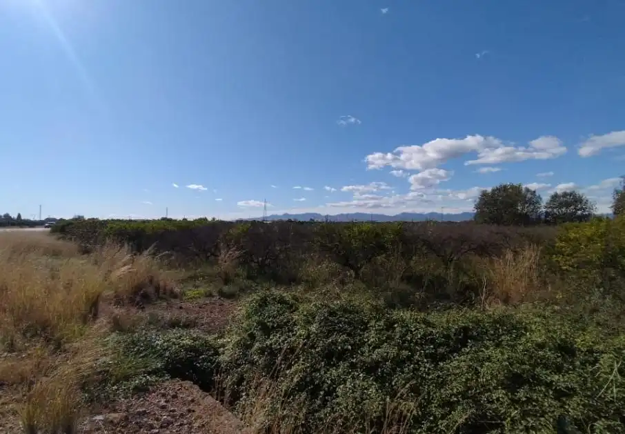 Rustikales Grundstück zum Verkauf in La Vall d'Uixó, imagen 6