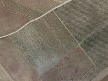 Terreny rústic en venda a Mota del Cuervo