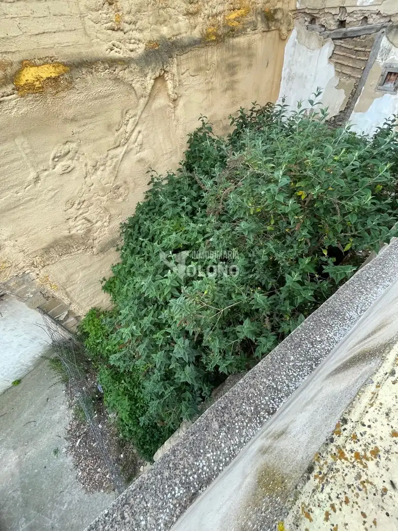 Casa o xalet en venda a Calle Miguel Villanueva, 37, Zarratón