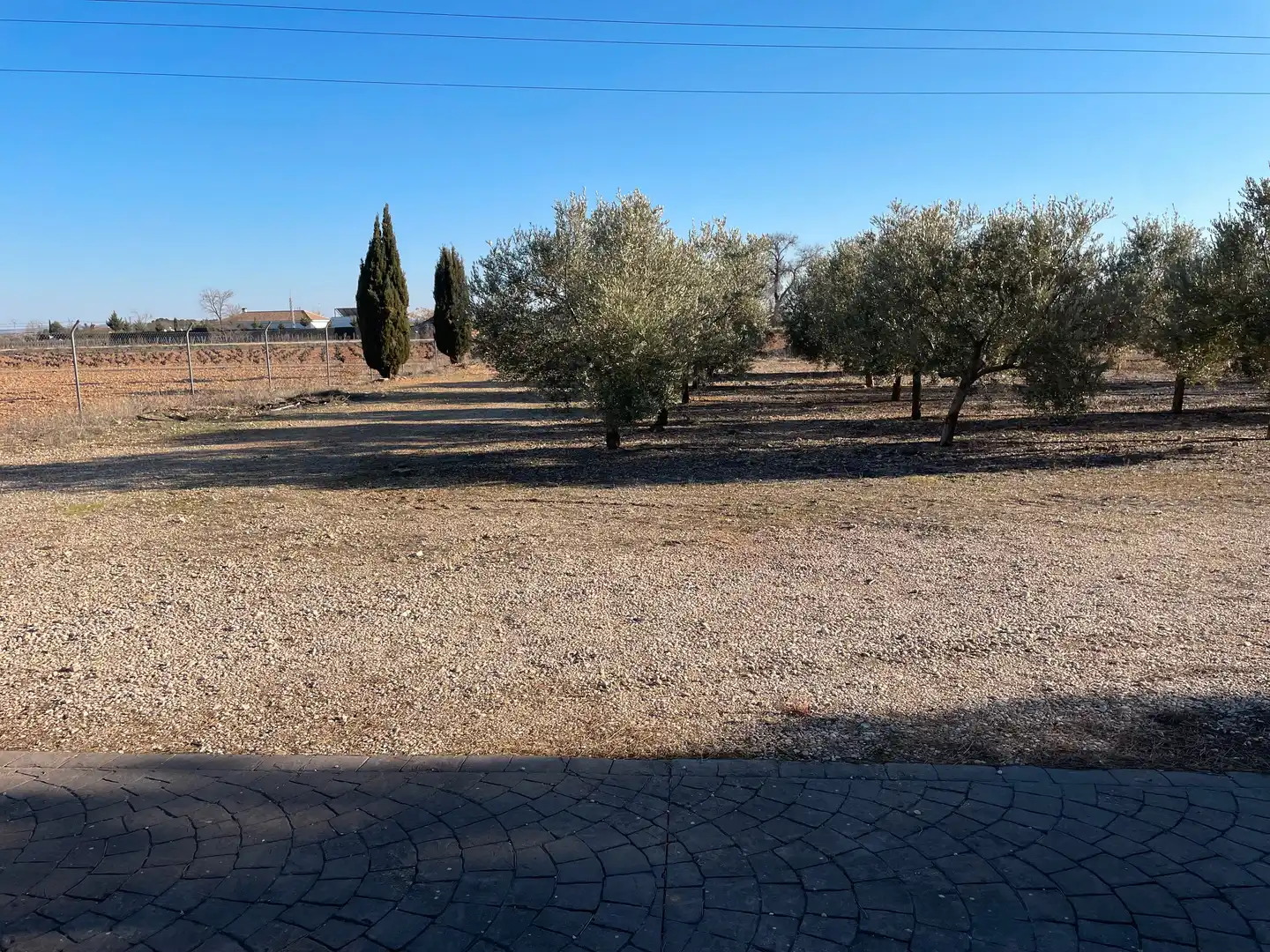 Chalet con piscina en venta en Tomelloso, imagen 6