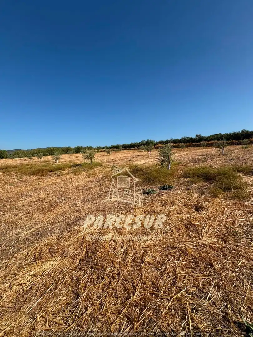 Terreno rustico in vendita a Periurbano Oeste - Sierra, imagen 17