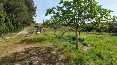 finca rustica, immagine 5