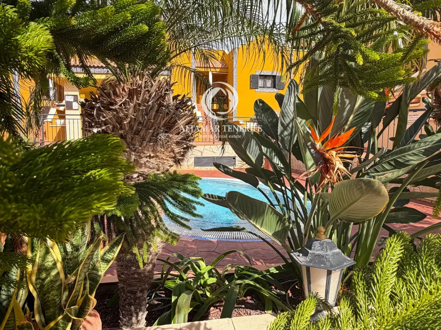 Apartamento de alquiler en Roques del Salmor, 12, Playa del Duque