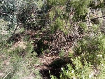 Terreno residenziale in vendita a NUEVA SIERRA GJ