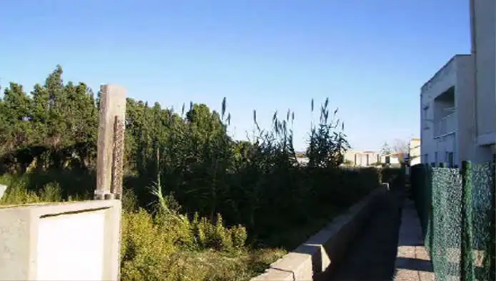 Terreny rústic en venda a Ptda Catalans o Almafara, imagen 7