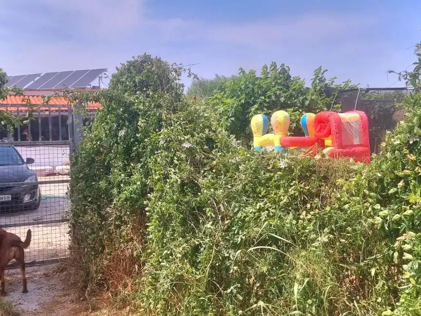 Landhaus mit Garten zum Verkauf in Camí Carretas 159, imagen 3