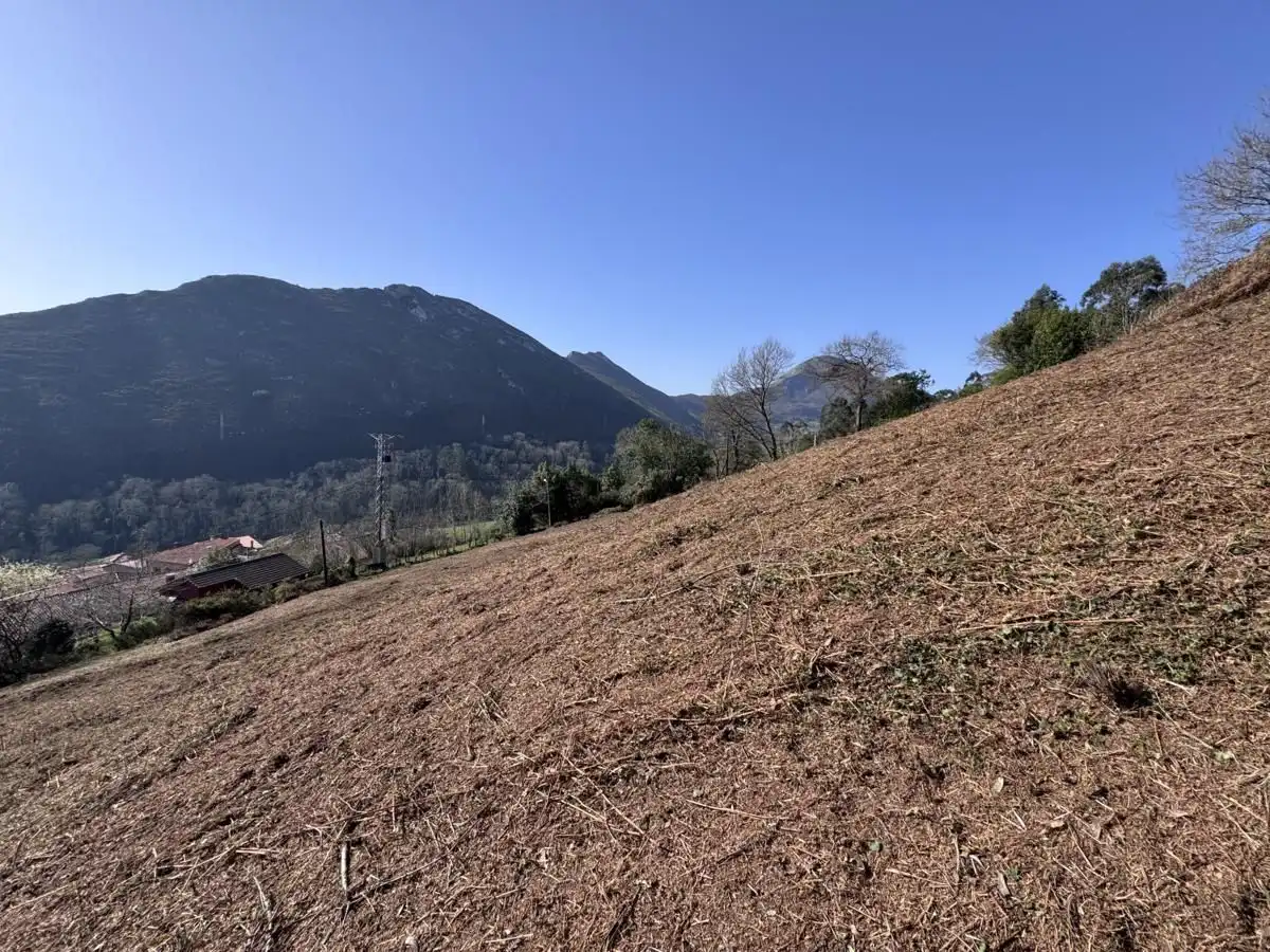 Grundstücke und Bauplätze zum Verkauf in Vibaña - Ardisana - Caldueño, imagen 21