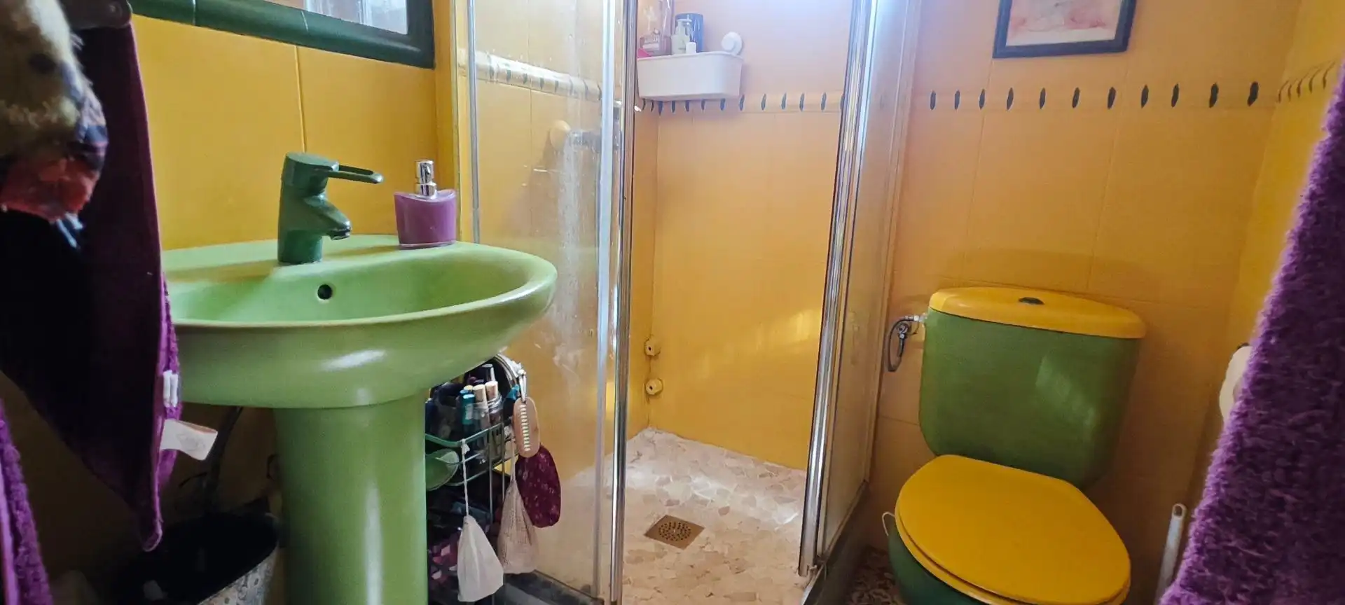Bathroom of Houses for sale in Los Arenales del Sol