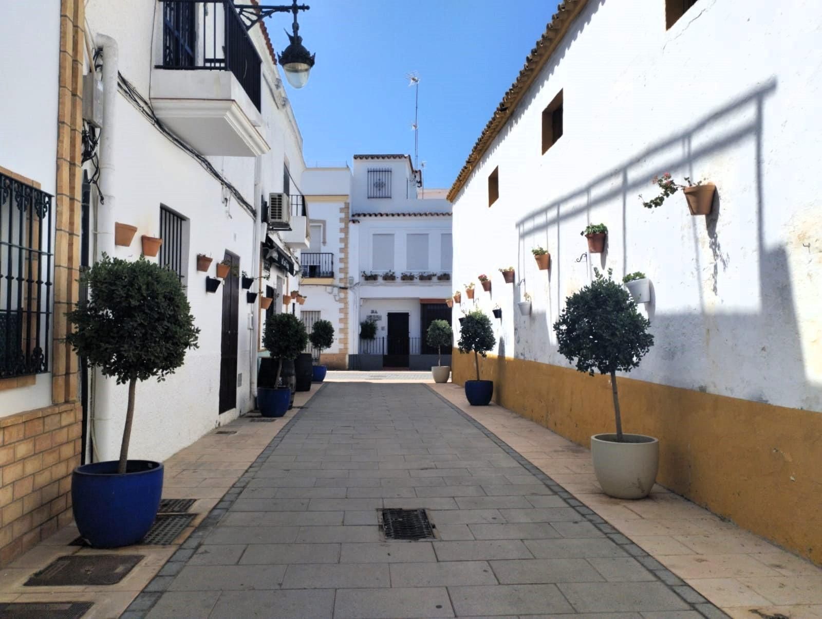 Pis de lloguer a Calle AGUSTINA ARAGON, Playa Cruz del Mar