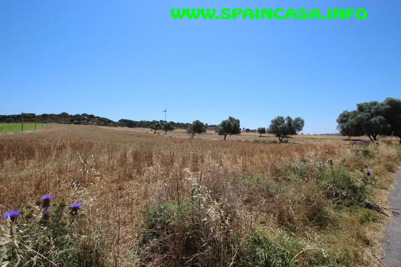 Terrenos y solares en venta en Núcleo urbano, imagen 2