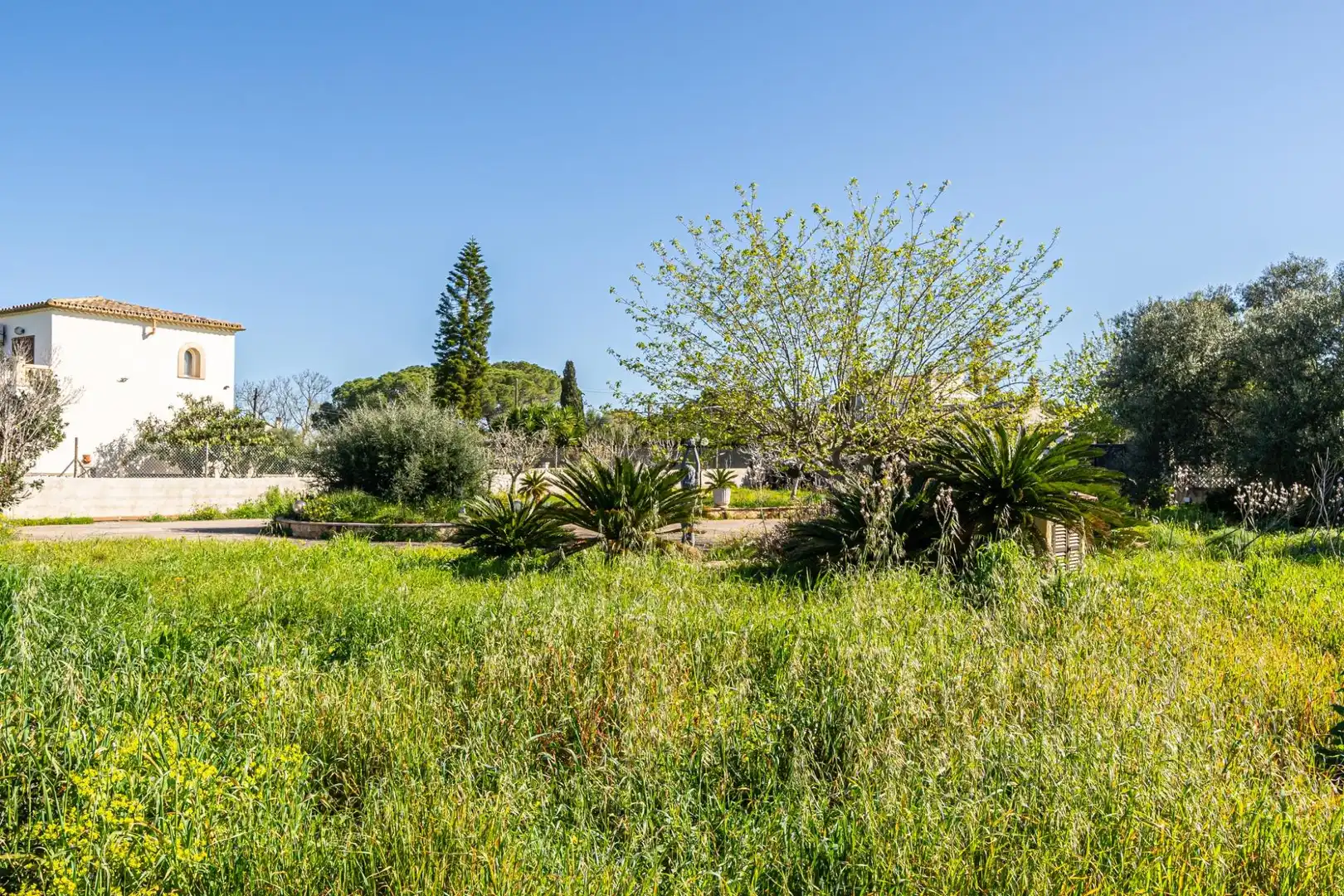 Grundstücke zum Verkauf in  Palma de Mallorca