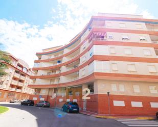 Vista exterior de Apartament de lloguer en Guardamar del Segura amb Aire condicionat, Calefacció i Terrassa