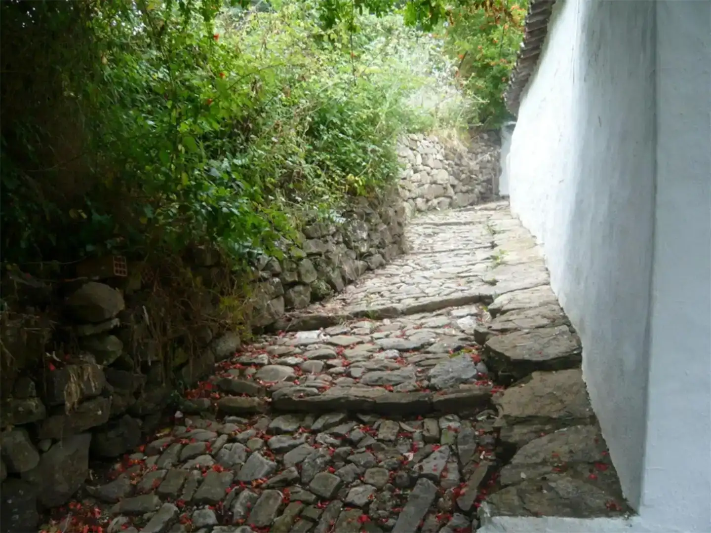 Vista exterior de Finca rústica en venda en Grazalema amb Jardí privat i Moblat