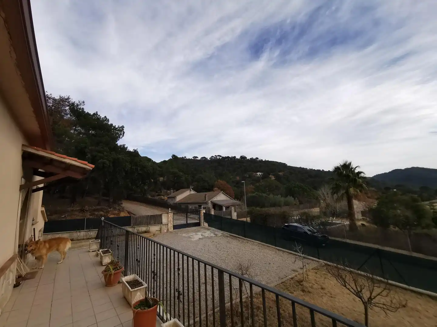 Villa mit Garten zum Verkauf in Sant Feliu de Buixalleu, imagen 17