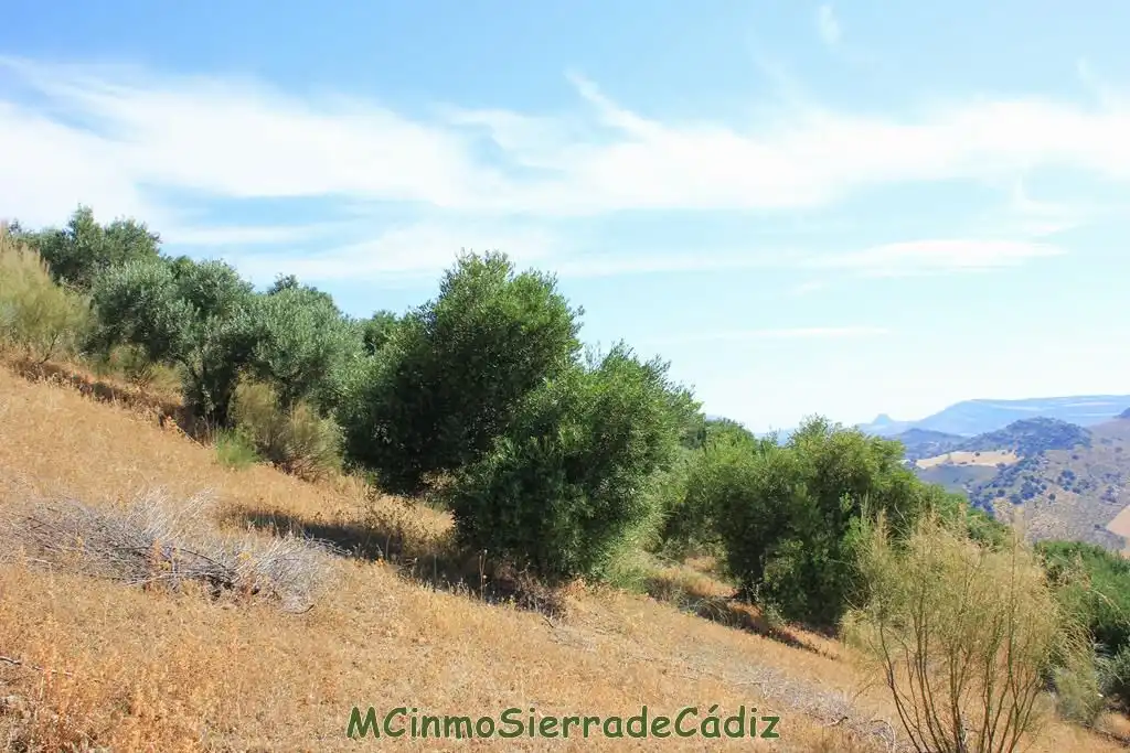 Finca rústica en venta en Montecorto