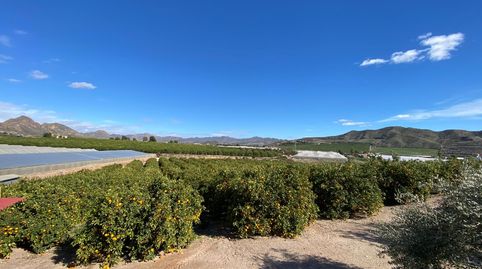 Foto 5 de Finca rústica en venta en Los Arejos, 52, Tébar - Los Arejos, Águilas