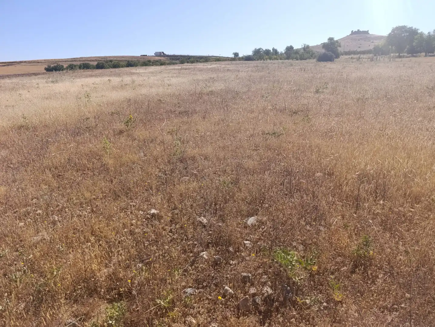 Rural land for sale in N/A, imagen 8