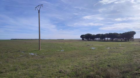 Rubi de Bracamonte Finca rústica, image 4