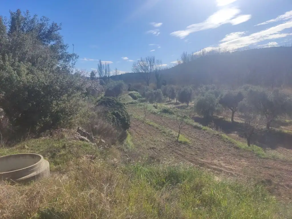 Terreni e lotti in vendita a Mazaleón, imagen 5