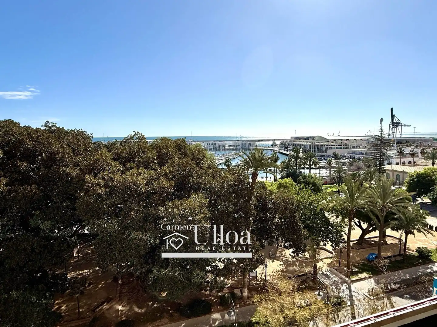 Vista exterior de Apartament en venda en Alicante / Alacant amb Aire condicionat, Calefacció i Jardí privat