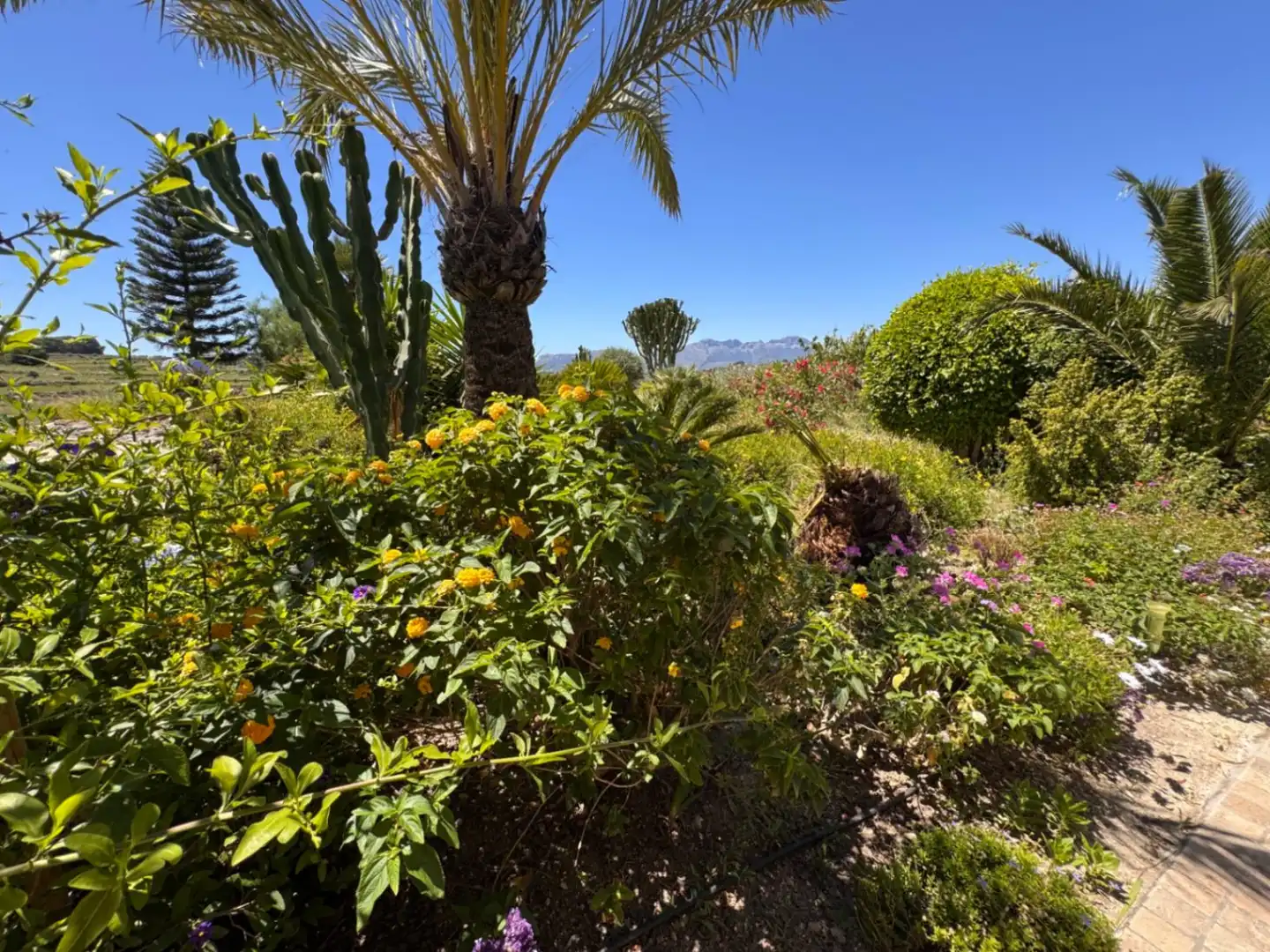 Jardín de Finca rústica en venta en Benissa con Aire acondicionado, Calefacción y Jardín privado