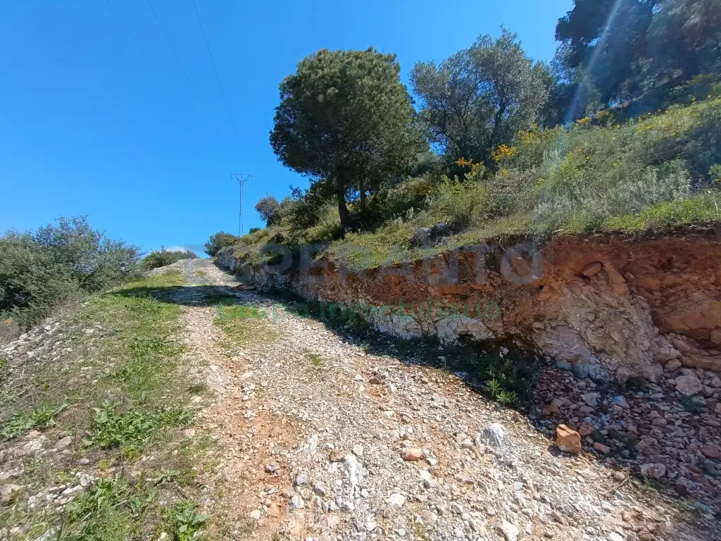 Terreno rustico in vendita a Diseminados Diseminados, imagen 12