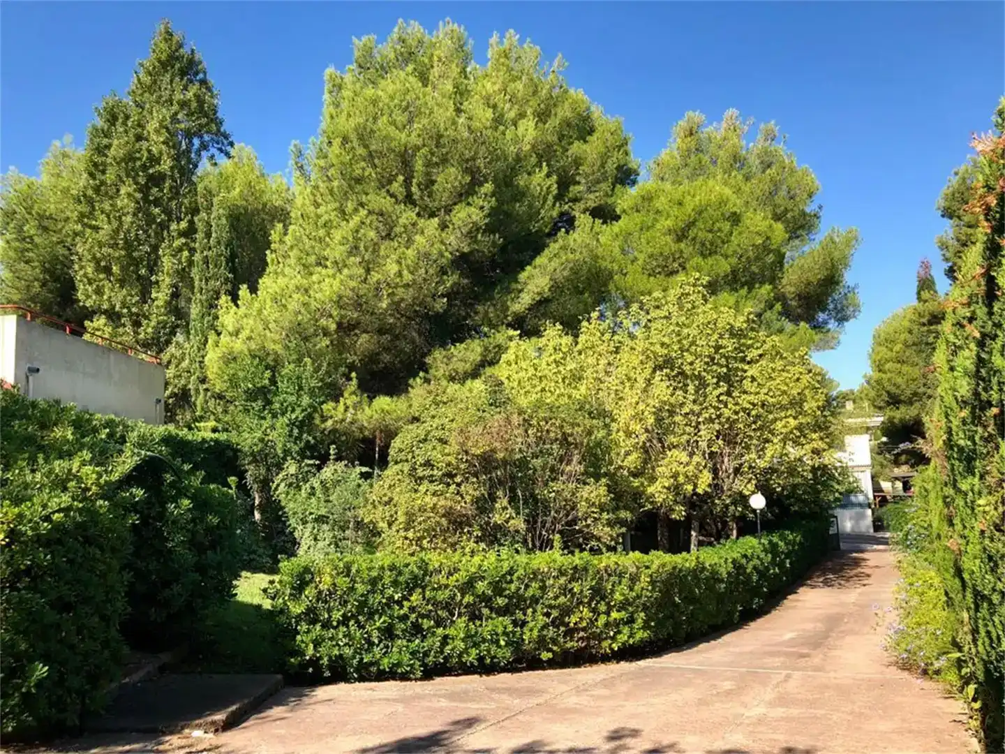 Jardí de Casa o xalet en venda en L'Alcora amb Piscina i Balcó