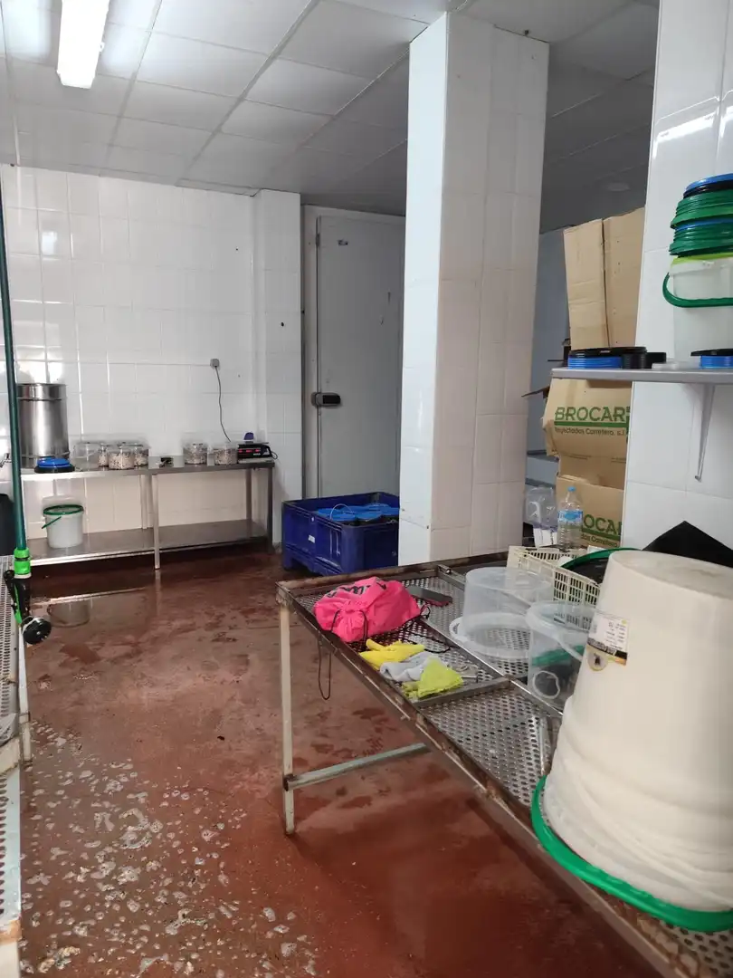 Cocina de Piso en venta en Torre-Pacheco con Aire acondicionado, Calefacción y Terraza