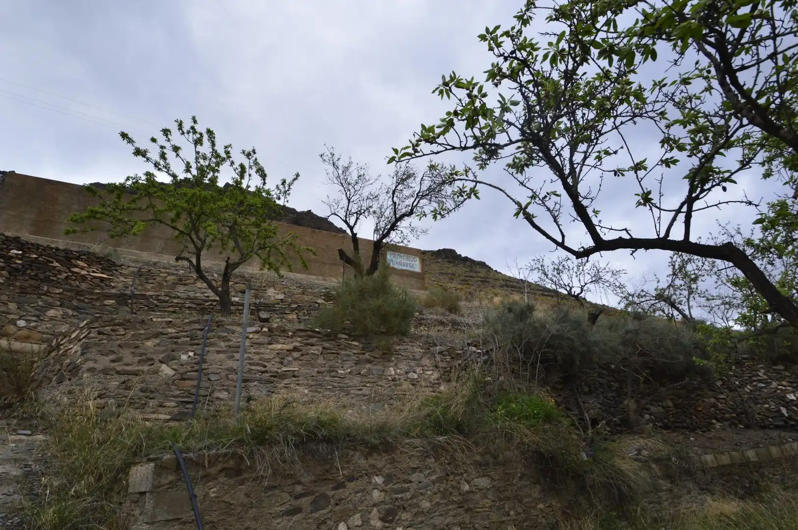 Finca rústica en venta en Gérgal
