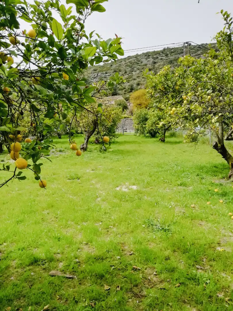 Terreno rústico en venta en Xaló, imagen 3