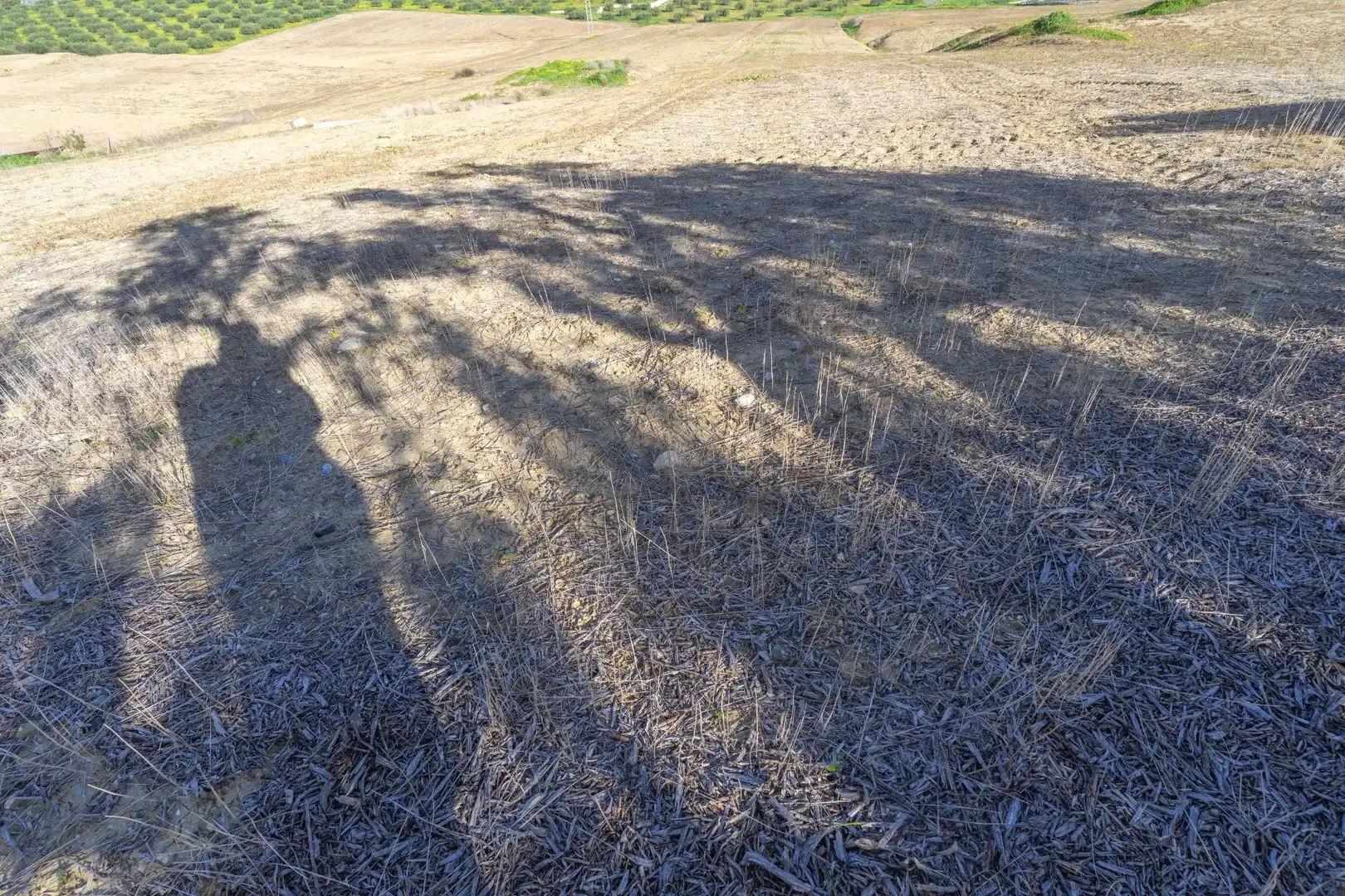 Terreni e lotti in vendita a Villafranco del Guadalhorce, imagen 2
