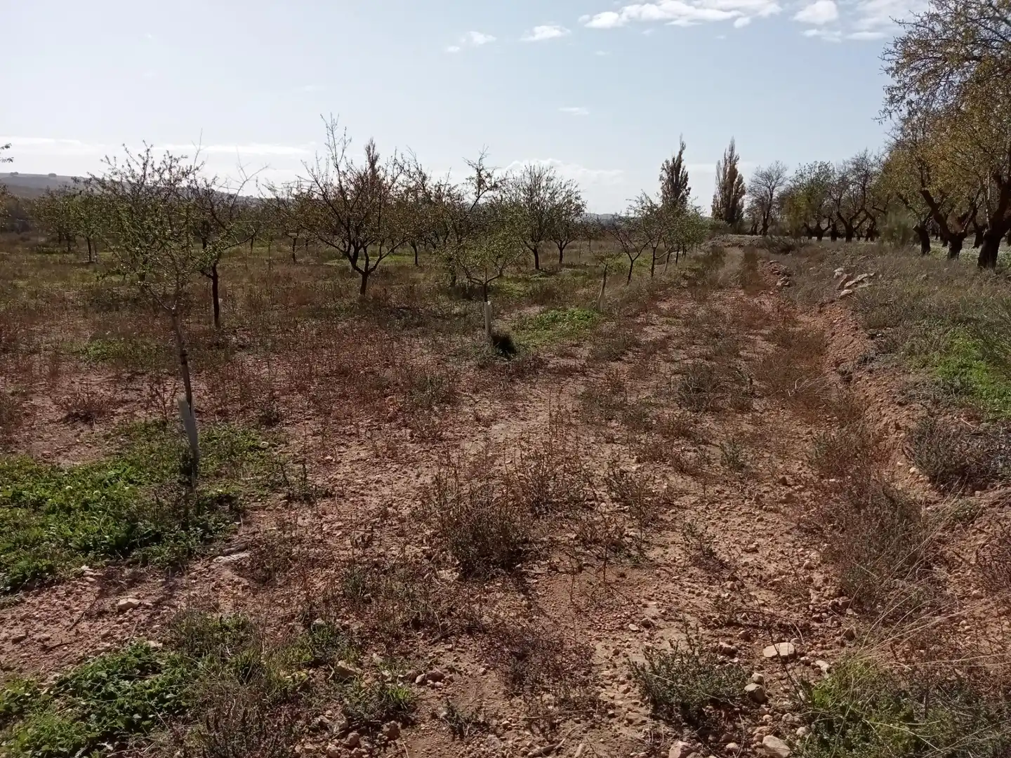 Casa o xalet en venda en Lezuza