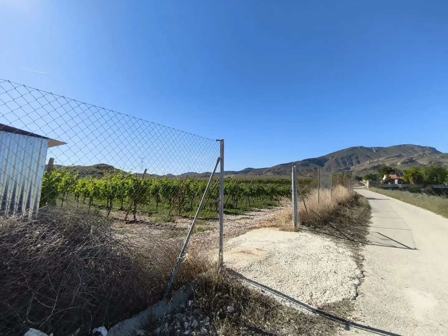 Terreno rústico en venta en Monforte del Cid - Paraje la Serreta, imagen 14