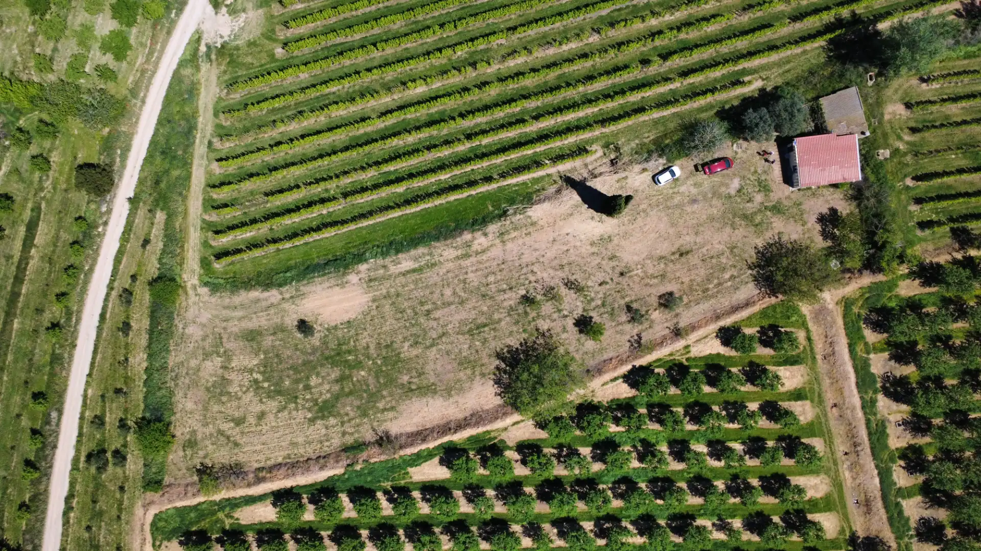 Land for sale in Juneda