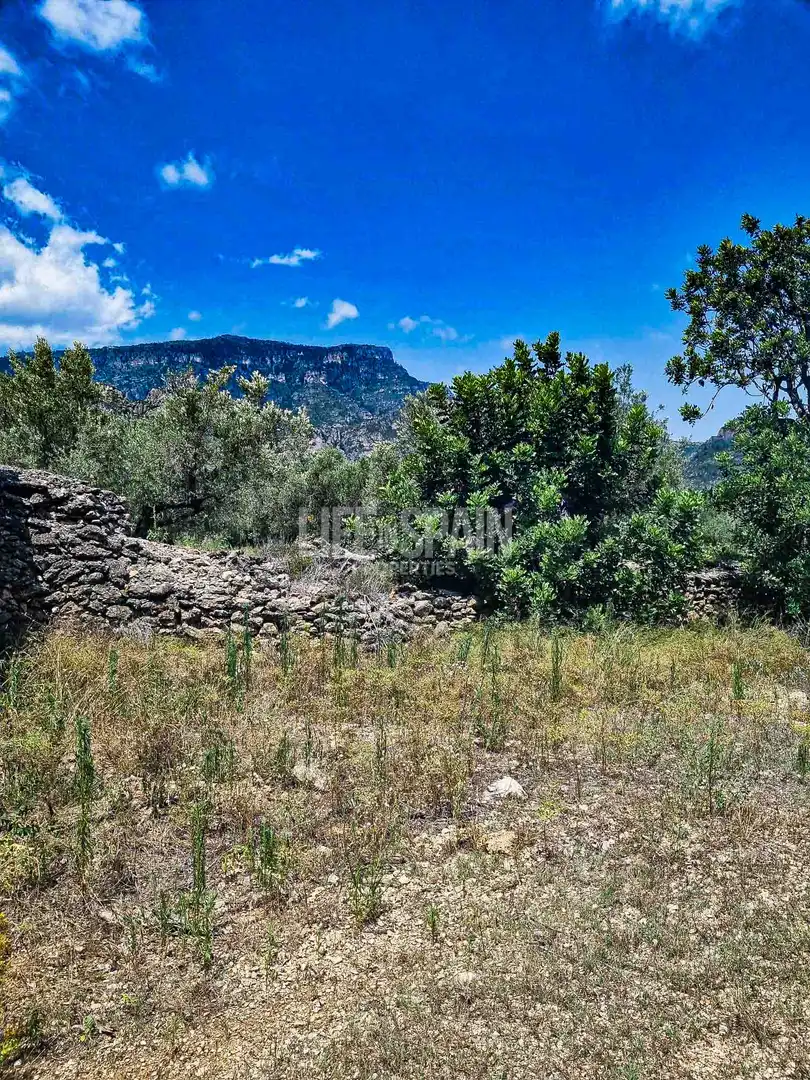 Maison rustique à vendre à Roquetes, imagen 7