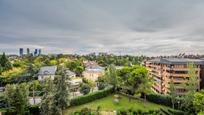 Jardí de Dúplex en venda en  Madrid Capital amb Aire condicionat i Terrassa